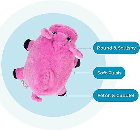 Pig Plush Squeaky Dog Toy, Small