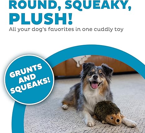 Hedgehogz Plush Dog Toy, Medium