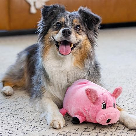 Pig Plush Squeaky Dog Toy, Small